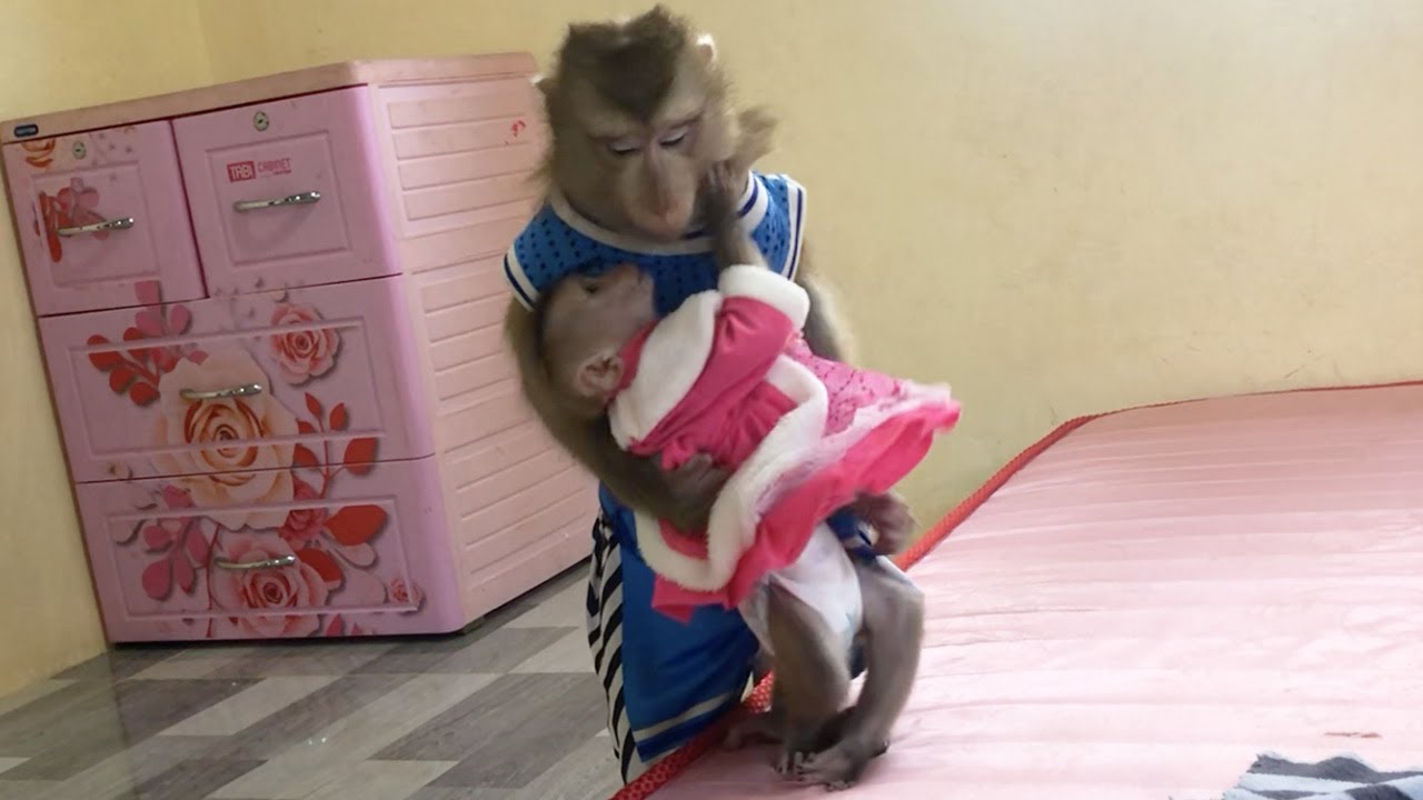 When are they arriving