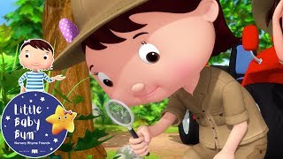 Little Baby Bum | Mia and Friends | Animals That Camouflage | Baby Songs