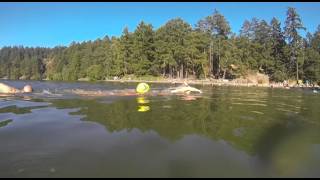 Susan Simmons Prepares To Swim Lake Cowichan - Shaw Tv Victoria