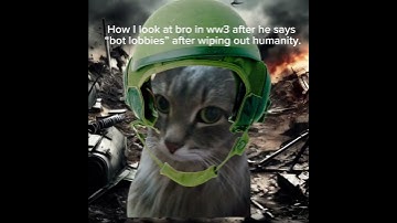 How I look at bro during ww3 #meme #funny #cat