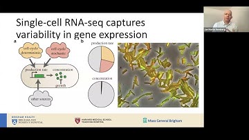 STAT115 Chapter 19.1 Intro to scRNA seq