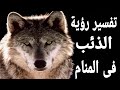 Interpretation Of Seeing A Wolf What Does Seeing A Wolf In A Dream Mean Interpretation Of Seeing A Wolf What Does Seeing A Wolf In A Dream Mean
