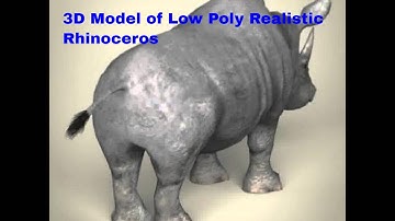 3D Model of Low Poly Realistic Rhinoceros Review