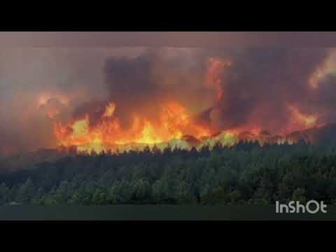 أغنية نخاف عليك يا بلادي