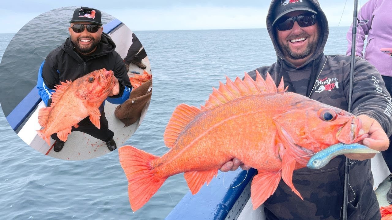 HOOKUP BAITS MASTERCLASS- How to Catch ROCKFISH Tips & Tricks