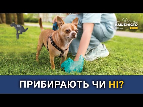 Чи прибирають господарі за своїми собаками у парках Дніпра?