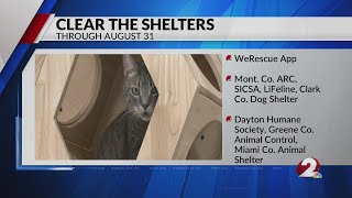 Clear the Shelters starts today, runs through Aug. 31