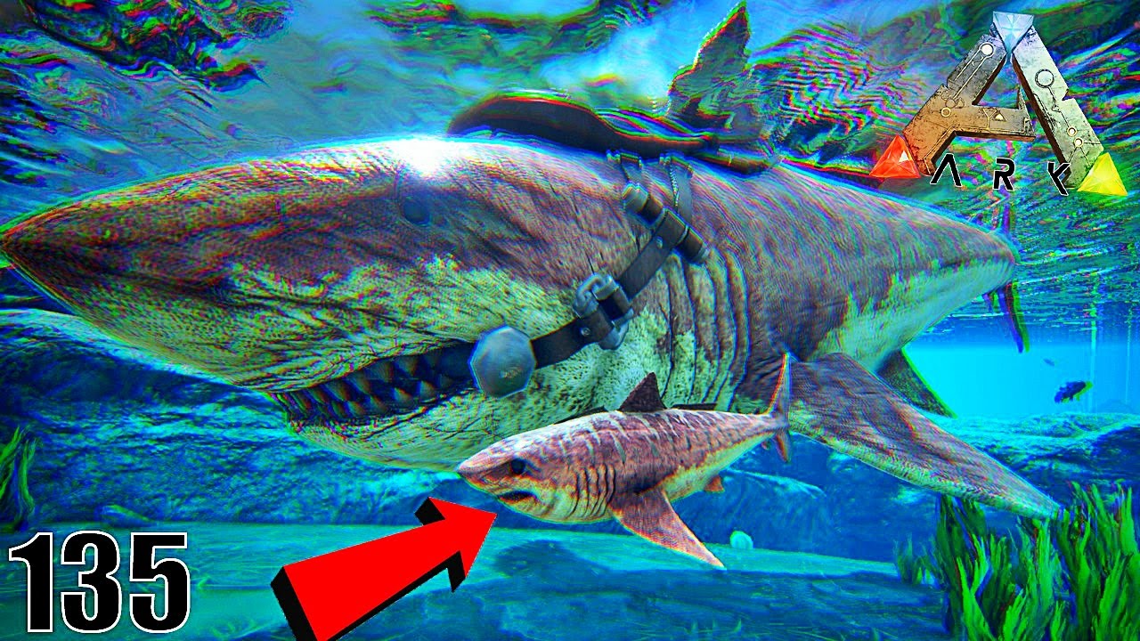 fright night LE PLUS PETIT MÉGALODON AU MONDE ! | ARK: Survival Evolved ! #Ep135