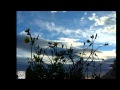 SARAH BRIGHTMAN - WHAT A WONDERFUL WORLD