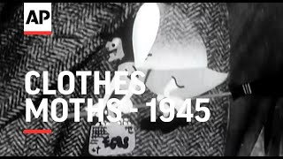 Clothes Moths - 1945 | The Archivist Presents | #419