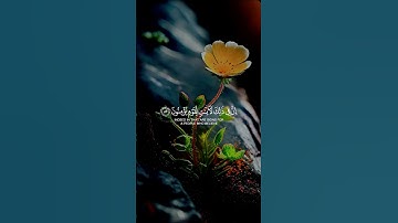 قران كريم تلاوه خاشعة  #قران_كريم #سبحان_الله #السعودية #تلاوة_خاشعة  #ترند