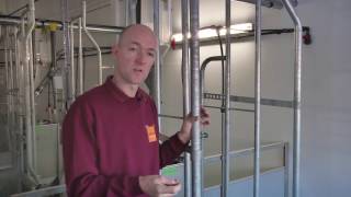 Verba Kzb Voerbak Kraamopfokhok Nederlands