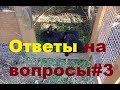 Ответы на вопросы#3//Ступени/Реанимирую качели/Кроличьи вольеры