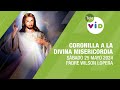 Coronilla a la Divina Misericordia 🌟 Sábado 25 Mayo 2024 #TeleVID #Coronilla #DivinaMisericordia