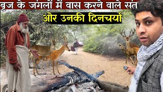 गहरे जंगलों में तपस्या करने वाले वृद्ध संत जो वर्षों से हैं यहीं@BrajVihar #santseva #santdarshan