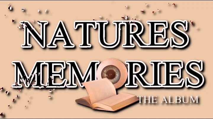 B O Ḵ Ë - All I Want