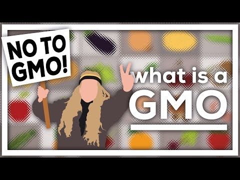 What is a GMO?