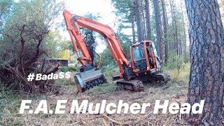 INSTALLING NEW MULCHER HEAD ON AN EXCAVATOR