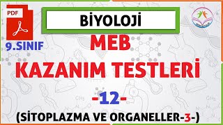 9. sınıf MEB Biyoloji kazanım kavrama testleri 12  (Sitoplazma ve Organeller 3)