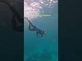 Snorkelling in Maldives #maldives #snorkeling #freediving #travel #explore #maldiveshoneymoon