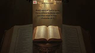 Proverbs 30:5 | Every word of God is pure;He is a shield to those who put their trust in Him