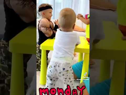 فلاد ونيكي بالعربي