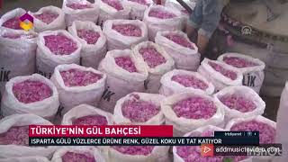 Isparta Gülü Büşra Betül Koç 2222702065