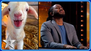 Simon Cowells Dogs Perform In Kevon Carters Hilarious Audition Auditions Bgt 2024