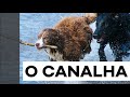 O canalha | Christian Dunker | Falando nIsso 271