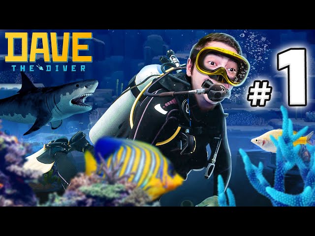 おかもとみわこ　版画　TOROPICAL Diving 26.1.18−2 YouTube