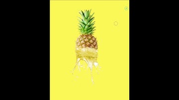 Fruit Splash effect 💦🍍😎