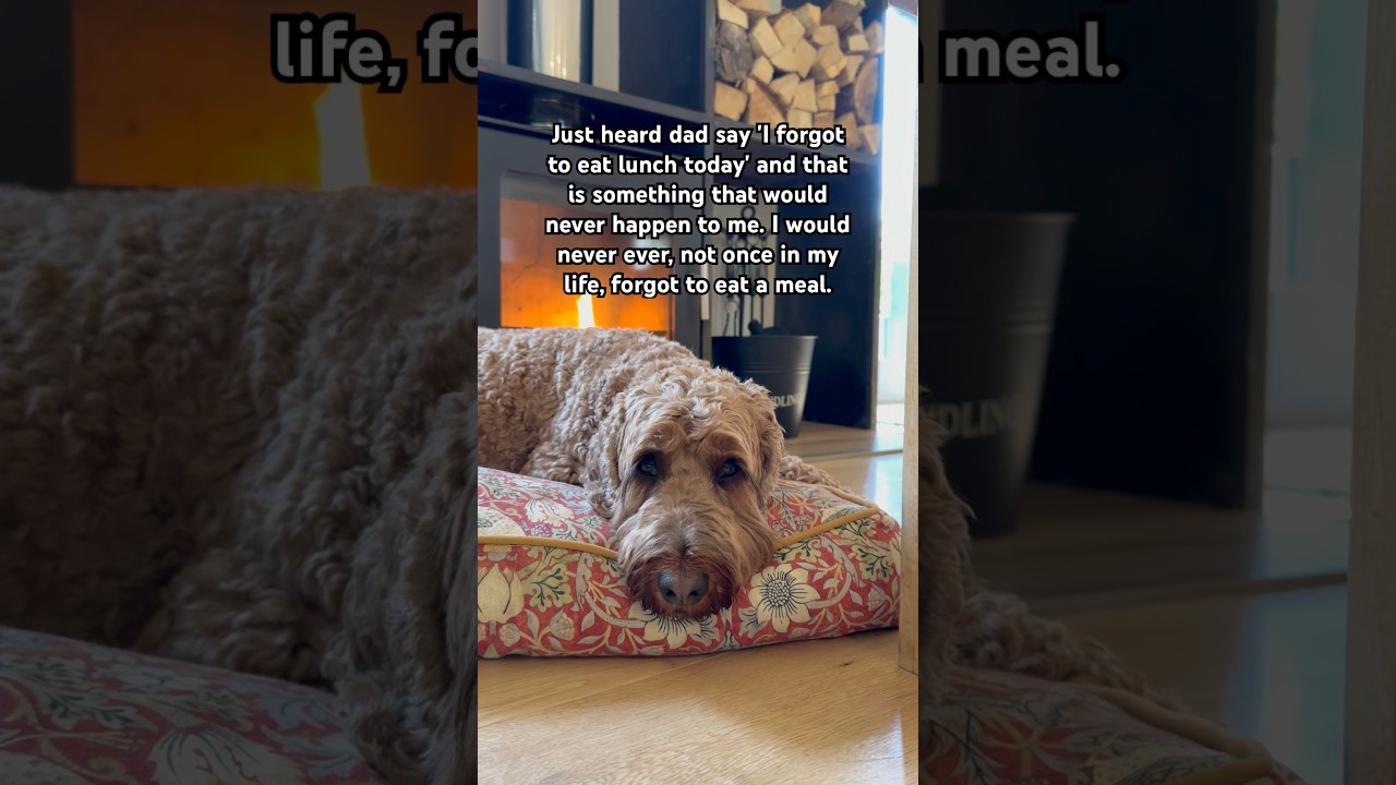 This would NEVER happen! 🤣 