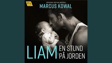 Chapter 11.5 - Liam: En stund på jorden