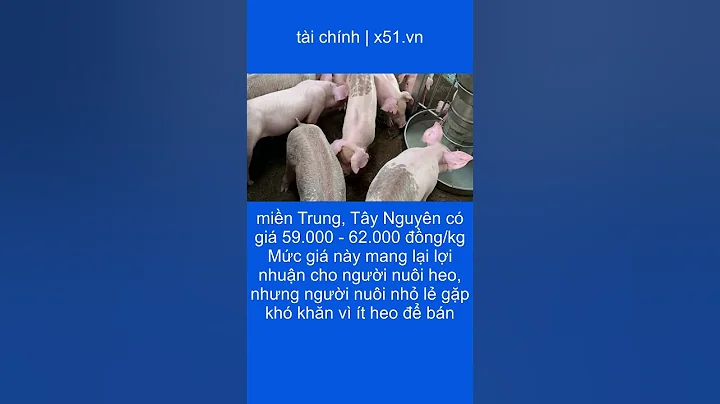GIÁ HEO HƠI HÔM NAY TẠI MIỀN BẮC VÀ MIỀN TRUNG, TÂY NGUYÊN