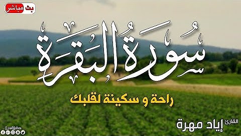 سورة "البقرة "لحفظ وتحصين المنزل بصوت هادئ😔 ومريح للقلب ♥️ سيشعرك بالطمأنينة😊 والهدوء بصوت إياد مهره
