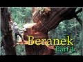 Beranek Part 1