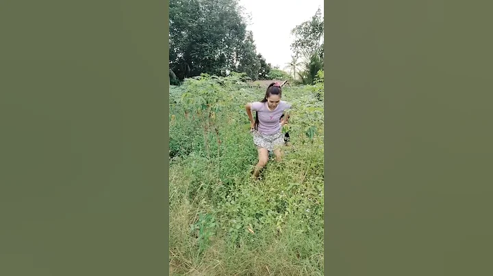 #timelapse Star to finish alone build log cabin wooden house how to build wooden cabin surviva USA