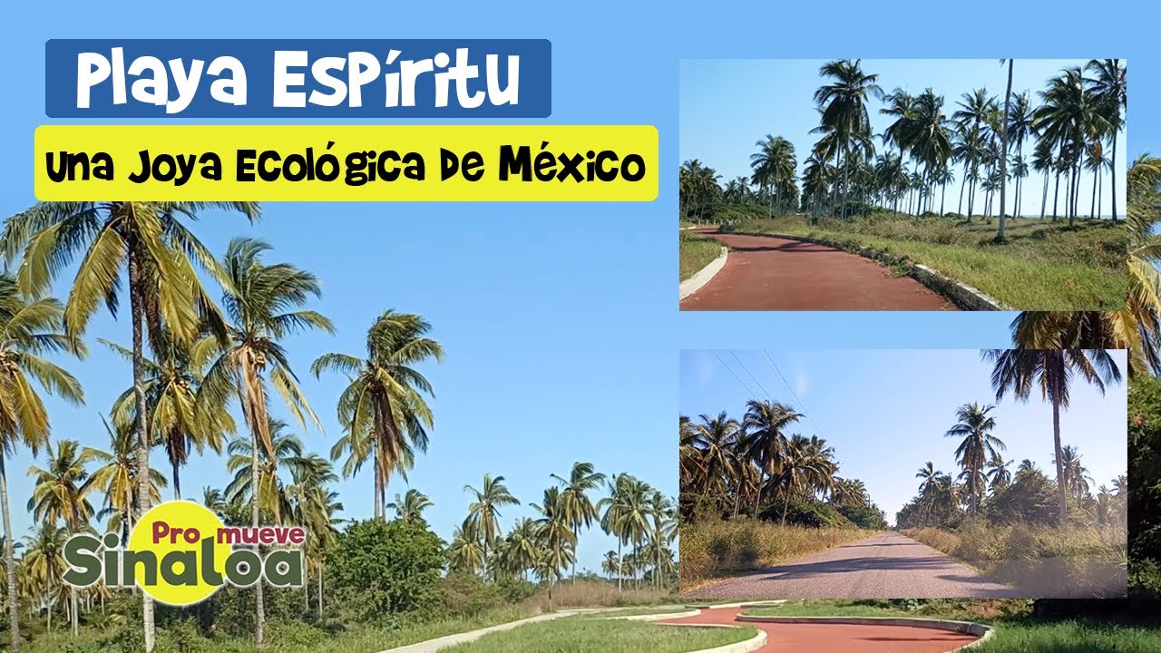 Playa Espíritu, Una Joya Ecológica de México