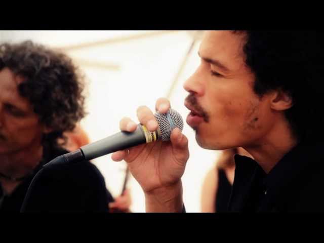 Eagle-Eye Cherry - Free