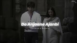 Do Anjaane Ajnabi - (Slowed & Reverb) | Vivah | Udit Narayan, Shreya Ghoshal | Nostalgic