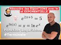 Quation avec expx et lnx  exercice corrig  terminale