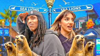 SEARCHING FOR SEA LIONS WITH AGENT