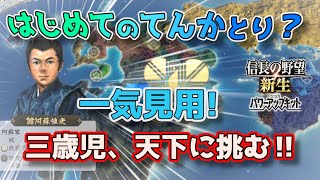 ＜信長の野望・新生PK＞体は子供、頭脳はほのぼの‼（阿蘇家、一気見用）