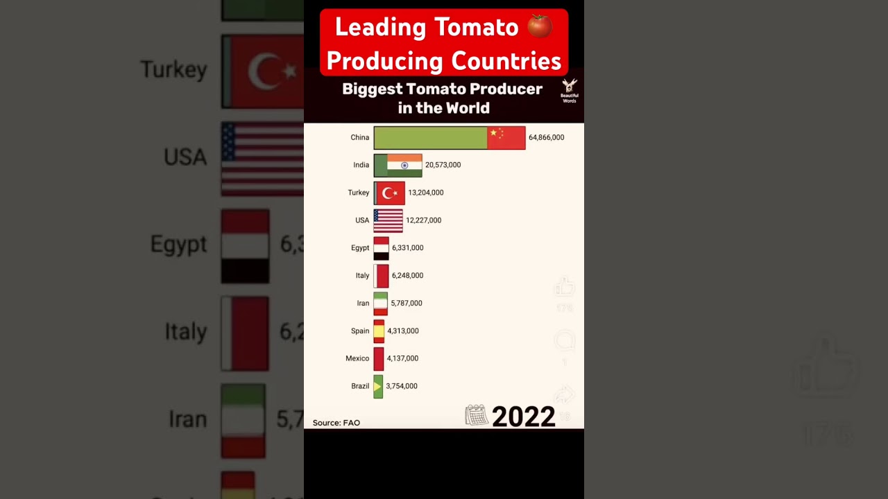 Leading Tomato 🍅 Producing Countries of the World 