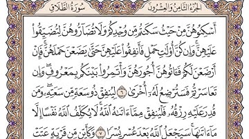 سورة الطلاق للقارئ محمد القاسم