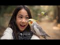 Ela Alimentou Animais 🐾 e Nem Ligou Pro Xixi 😂 | Dia Inesquecível no Japão