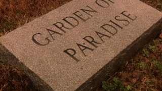AP Analysis: Cemetery Oversight Lacking