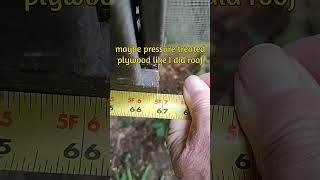 more chicken coop predator problems identified and temporarily fixed