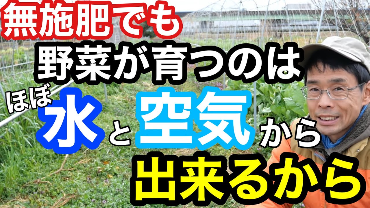 Natural farming] Why vegetables continue to grow without