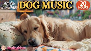 강아지가 좋아하는 음악💖🐶강아지 수면 음악 20시간🐶💖강아지 분리불안 해소 음악🎵💖집에 혼자있는 강아지 스트레스 해소 필수 음악🎵💖외출할때 출근할때 꼭 틀어주세요 by 힐링메이트